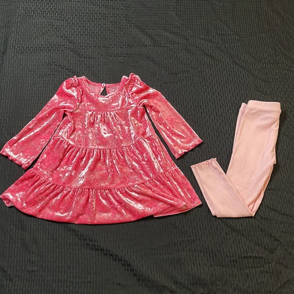Cat & Jack Velour Pink Top  Size US XS (3T) and Old Navy pink Tights size 4T - Picture 10 of 15
